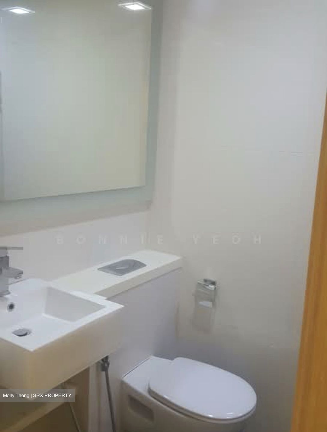 Lumiere (D2), Apartment #550543821